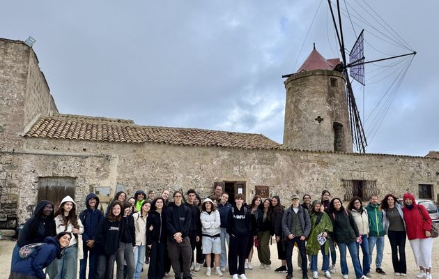 IT25 Visit to Paceco Salt Pans, Salt museum and Archaeological museum Lilibeo - Baglio Anselmi in Marsala​