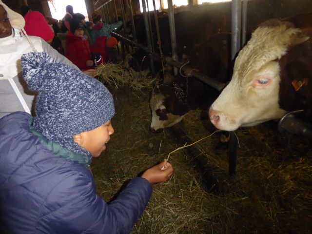 La ferme des Tines