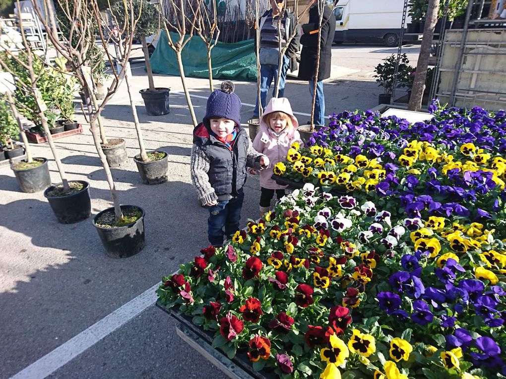 Pâte à modeler ou marché aux fleurs