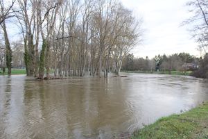 Tribune pour un Tribunal