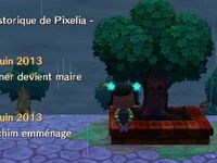 Le secret de l'arbre de la place