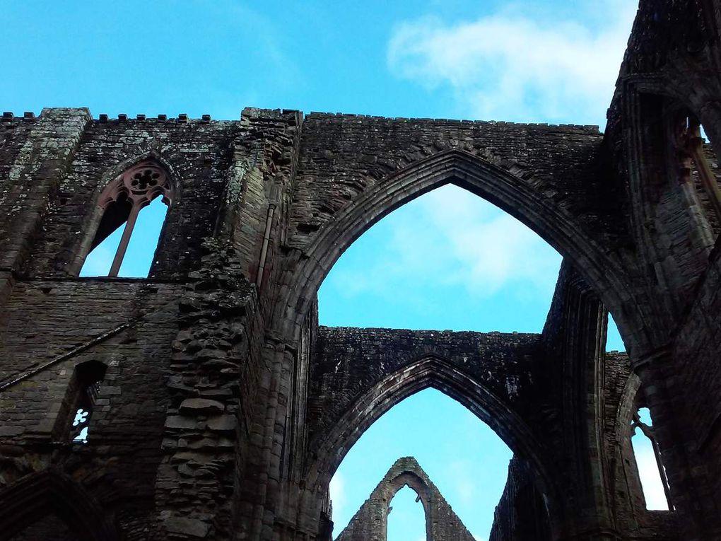 And again I hear	 these waters, rolling from their mountain-spring with a sweet inland murmur- Tintern Abbey