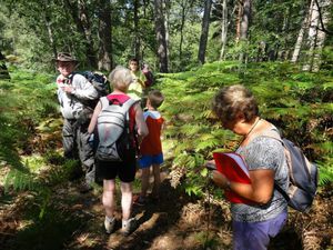 Rando-Géocaching à Recloses 16/07/2014