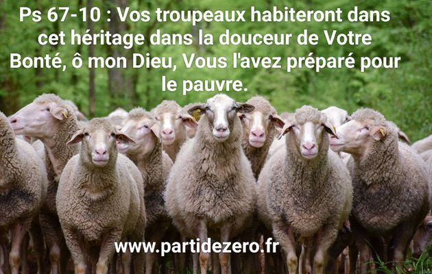 Psaume de David 67 : Pour reconnaître le véritable amour.