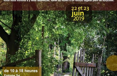 Petites Phrases De Jardins Au Jardin Des Quatre Moineaux
