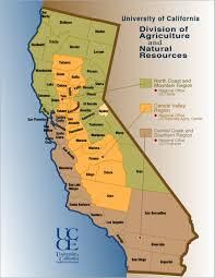 #Syrah Producers Central Valley California Vineyards p3