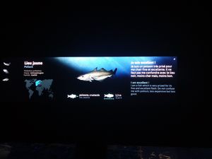 Le grand aquarium de Saint Malo