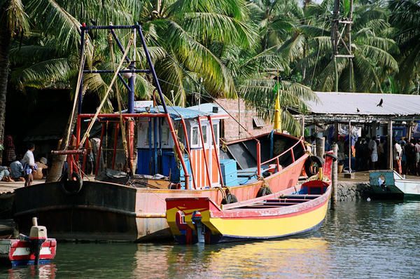 <p>Janvier 07 - Je suis ravie de vous faire partager un peu plus de ce chouette voyage de 24 jrs en Inde du Sud dans les Etats du Kerala et Tamil Nadu. J'esp&egrave;re que ces clich&eacute;s vous plairont, vous toucheront, vous donneront une petite id&eacute;e de ces agr&eacute;ables endroits, de l'ambiance, ...&nbsp;(mais l&agrave; c'est biais&eacute; par mon oeil), voire vous donneront envie des les d&eacute;couvrir en r&eacute;el.</p>
<p>N'h&eacute;sitez pas &agrave; me faire part de vos rem