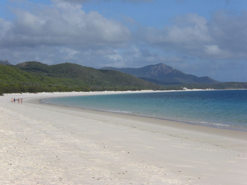 Ein traumhaft schöner Urlaub in Cairns, Regenwald, Great Barrier Reef, Whitsundays, Airlie Beach und auf dem Segelboot :)