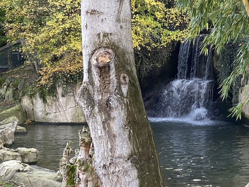 Le Zoo de BEAUVAL