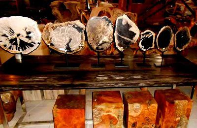 Petrified Wood Art Craft