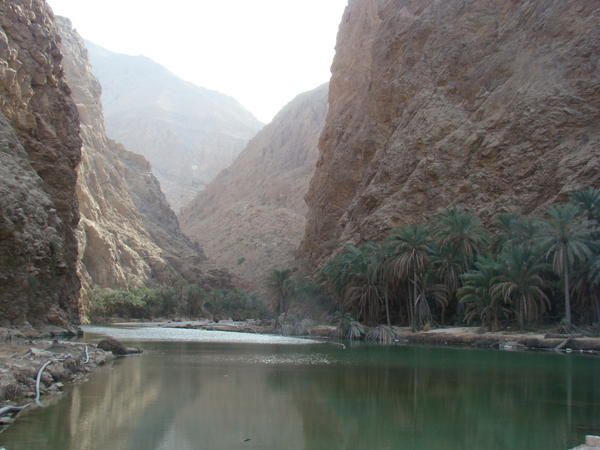 193 photos pour ce premier album de notre séjour à Oman. Vous y trouverez des photos des lieux suivants : Sohar,Al Khaboura, Rustak,Nakhal,Muscat,Mutrah, Qurm,Tiwi,Wadi Shabs,Ras Al Hadd,Ras al Junayz (Lieu de ponte des Tortues de mer),Misfah,Tanuf