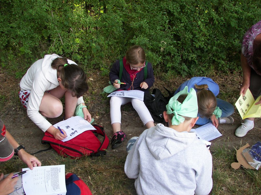 Album - Taize-mai-2011