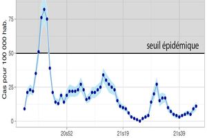 PAS D'ÉPIDÉMIE DEPUIS DES SEMAINES !