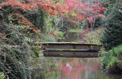 SOORTIE à MEUNG-SUR-LOIRE: ROSERAIE + ARBORETUM DES HOUX