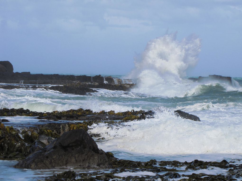 Album - NZ-LES-CATLINS