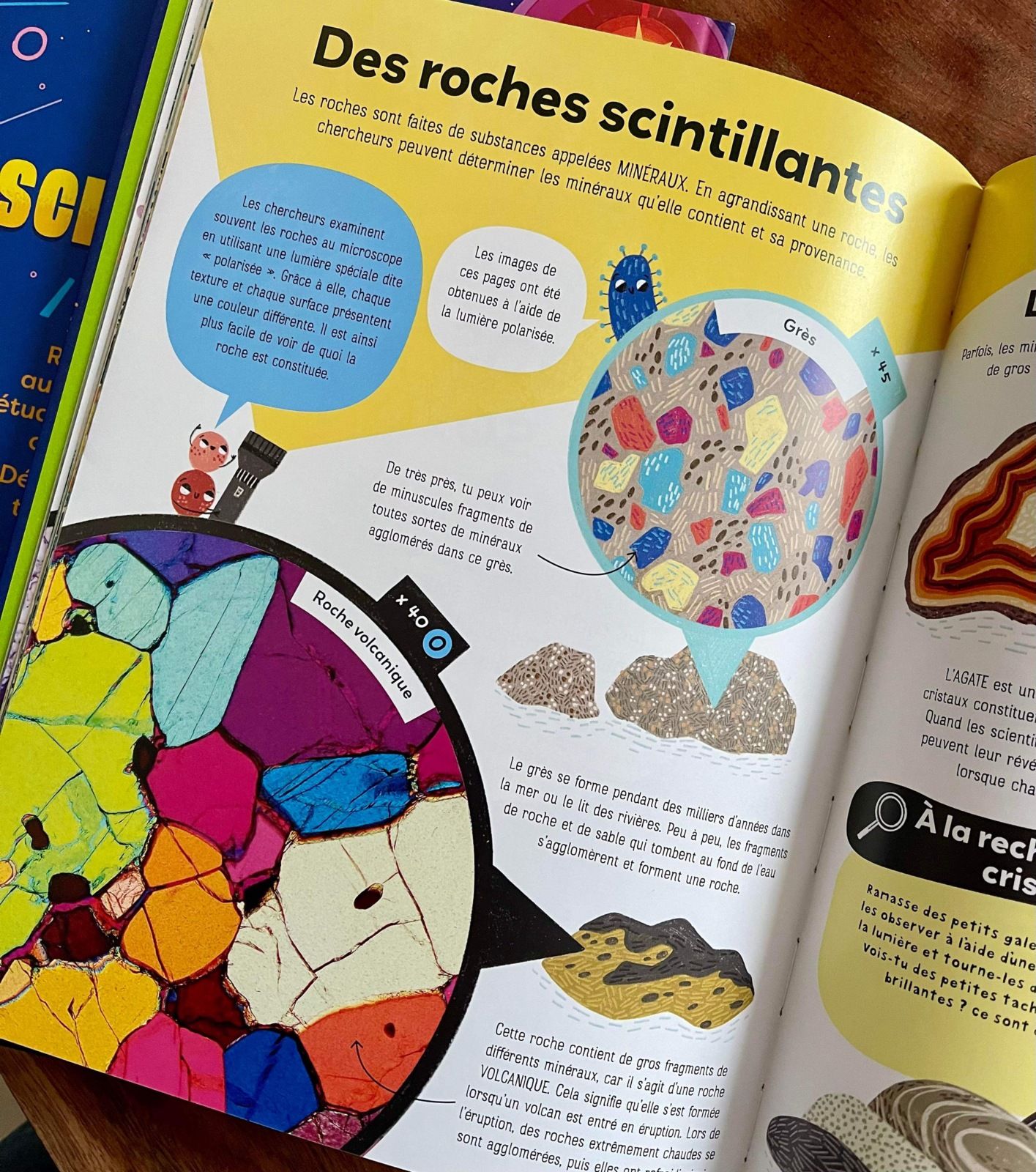 science avec livres jeunesse Usborne