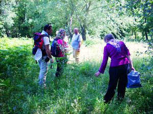 La Vallée de la Mole a fêté la nature