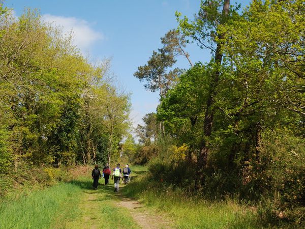 La campagne de Péaule