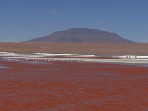 4 jours de rêve entre le salar d´Uyuni et le sud Lipez