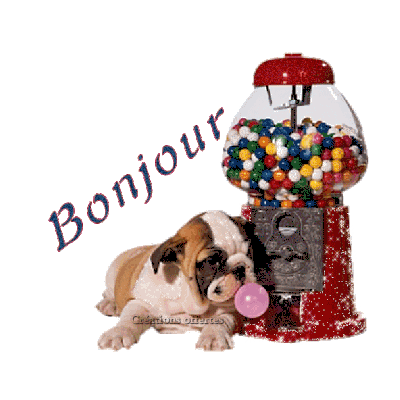 Bonjour - Chien - Chewing-gum - Gif scintillant - Gratuit