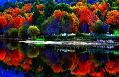 Un automne bienfaisant