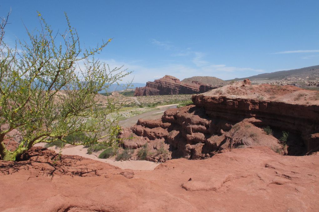 samedi une rando dans la vallee de Calchaquie vers Cafayate