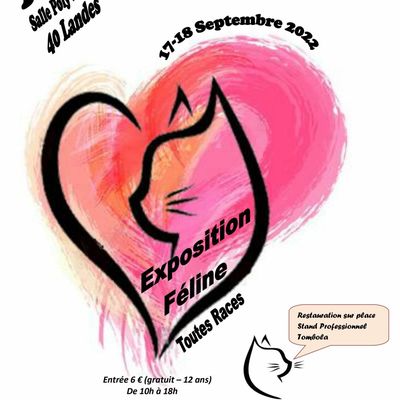 TILH (Landes) : "Les plus beaux chats du monde" en exposition