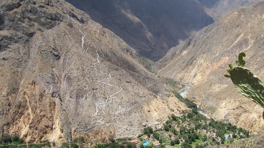 Album - Arequipa et Canyon de Colca