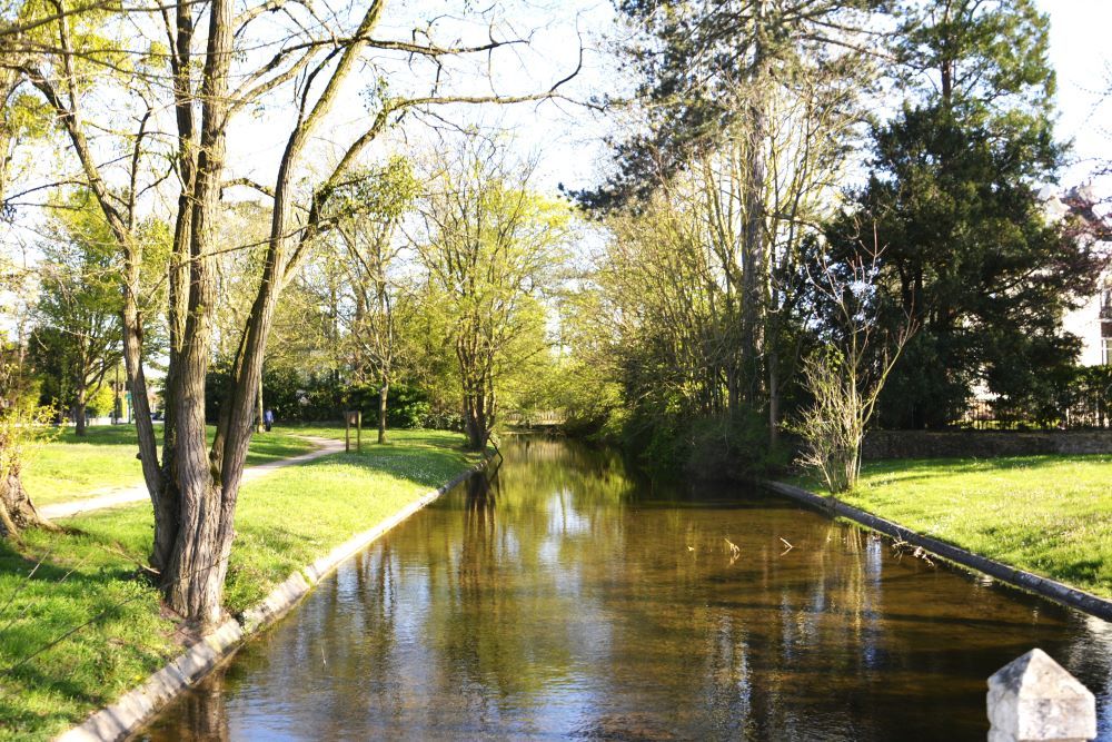 Le Vésinet Exposition Vésin'ART et le circuit des 5 lacs et leurs rivières