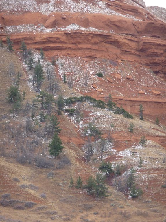 Album - 15.Yellowstone (Wyoming-octobre)