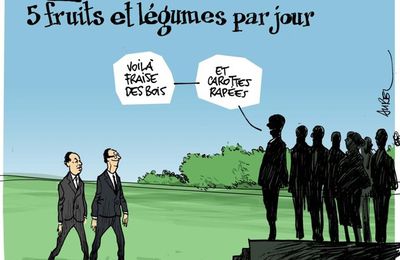 dessin de presse