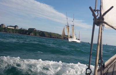 Un petit tour sur les îles Chausey à bord de l'Albatros