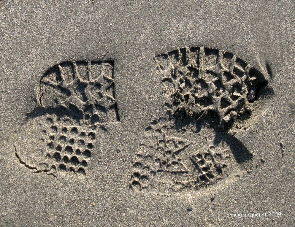 Voici quelques empreintes de chaussures, de pieds, de pattes de chien et autres, prisent dans le sable, mais aussi sur du ciment. Je vais aller, maintenant,à la recherche de traces de goélands, de mouettes et peut être de canards.