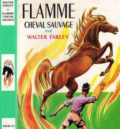 04- Flamme cheval sauvage