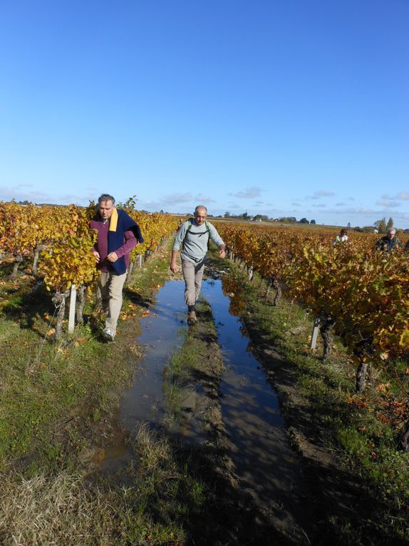 Fête du vin au"Clos de Grange Vieille"