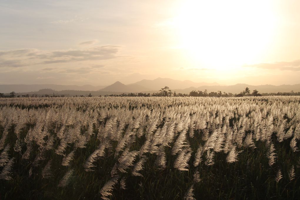 Album - Alice Springs-Cairns