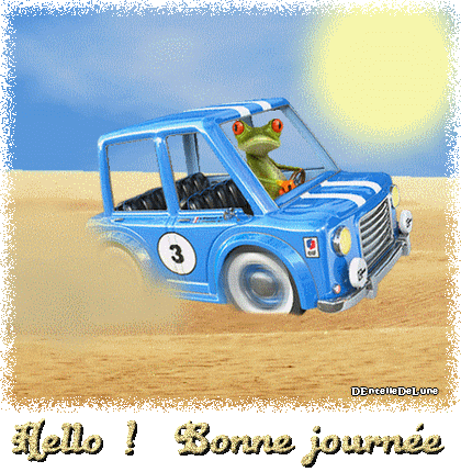 Rallye des sables avec grenouille en R8 Gordini - gif bonne journée
