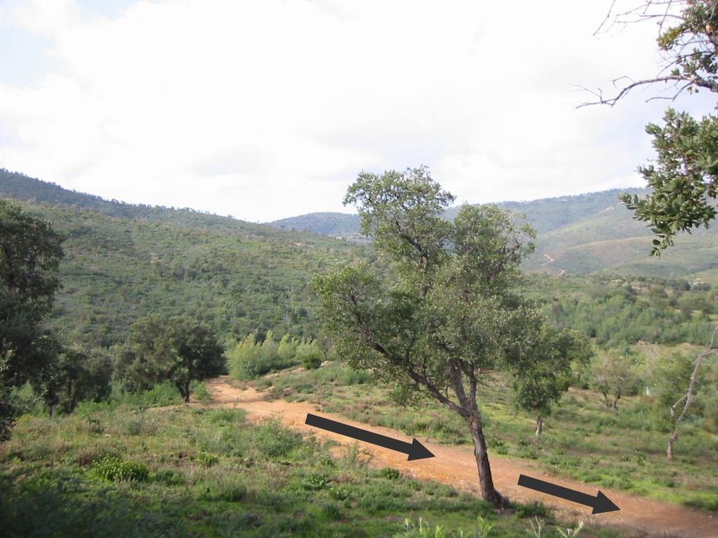 Quelques vues du tracé empruntant les pistes et chemein situés sur le domaine du conservatoire du littoral.