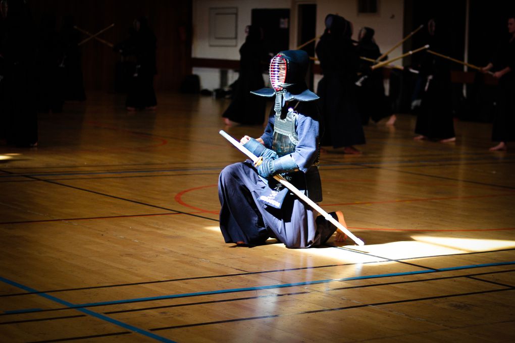 Stage Sakudo senseï