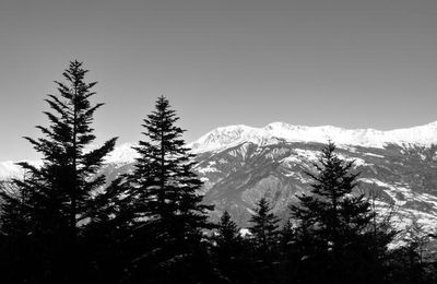 Souvenirs de ... vacances à la neige (Praloup) 1