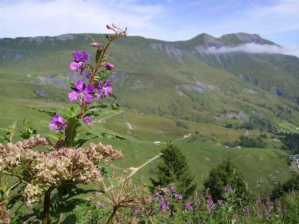 Les plus belles photos de ma semaine VTT en Haute-Savoie avec l'Ucpa en août 2008.
Voir aussi l'article correspondant...