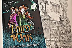 Fairy Oak : Le secret des Jumelles