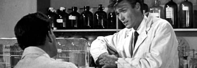 CLINT... En blouse blanche