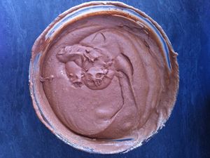 Coques de mousse au chocolat mascarpone 