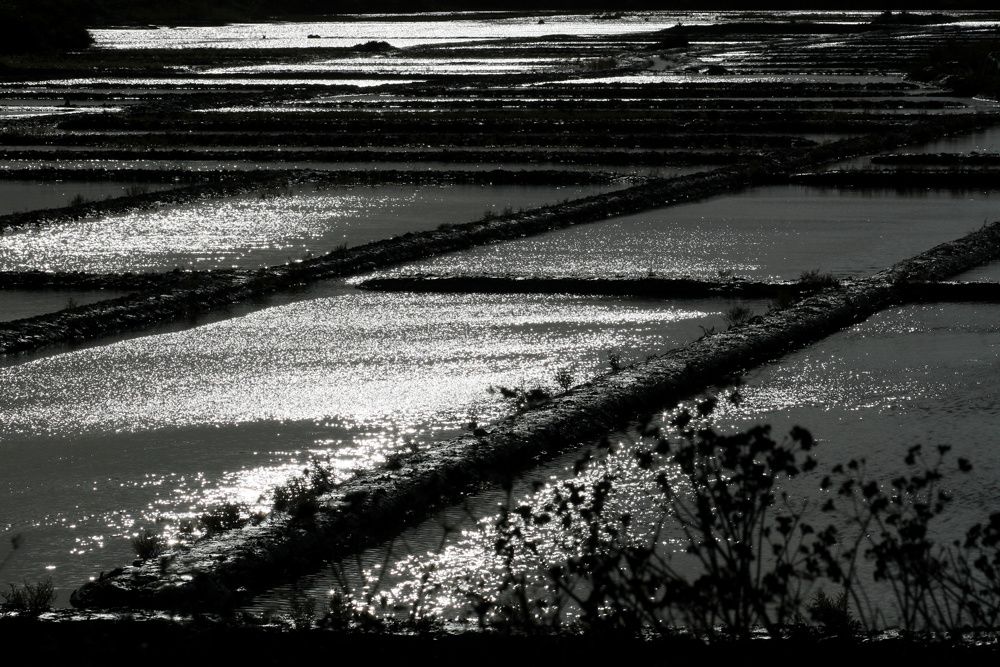 Hiver en Loire-Atlantique - Photos Thierry Weber Photographe La Baule Guérande