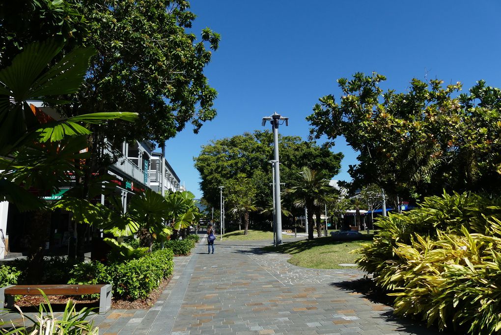Cairns city