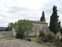 Cyprès, un arbre essentiel