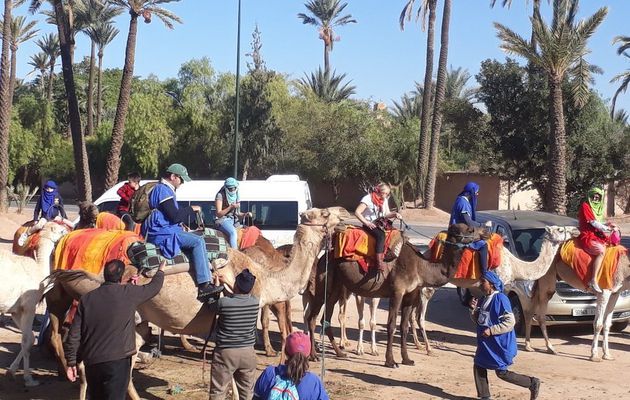 Excursion Marrakech