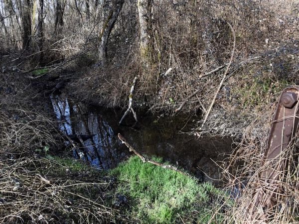 Vers le marais des Chassettes à Challes-les-eaux